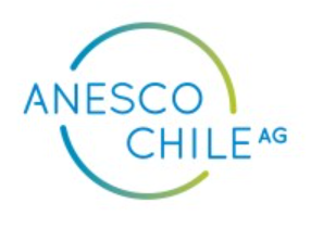 https://www.anesco.cl/